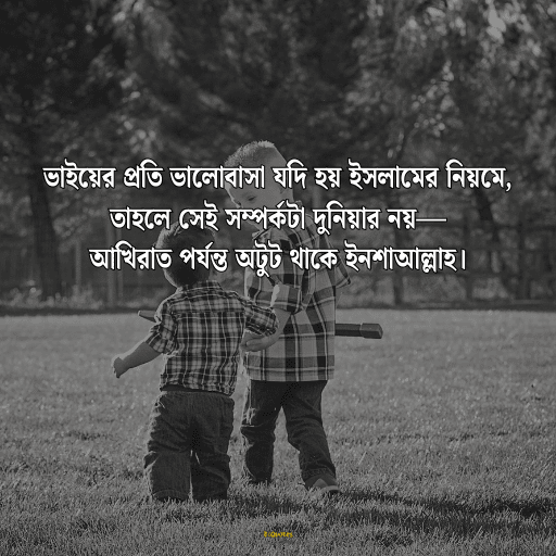 ভাই নিয়ে ক্যাপশন 18