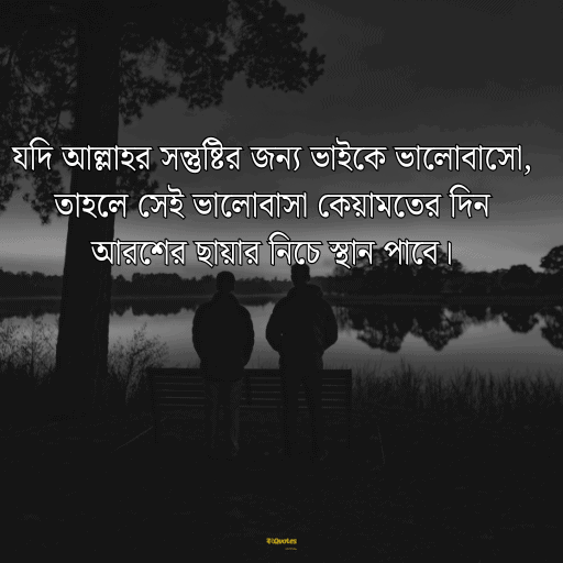 ভাই নিয়ে ক্যাপশন 19