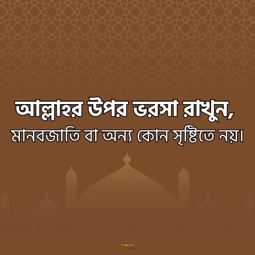 ইসলামিক bio বাংলা 2
