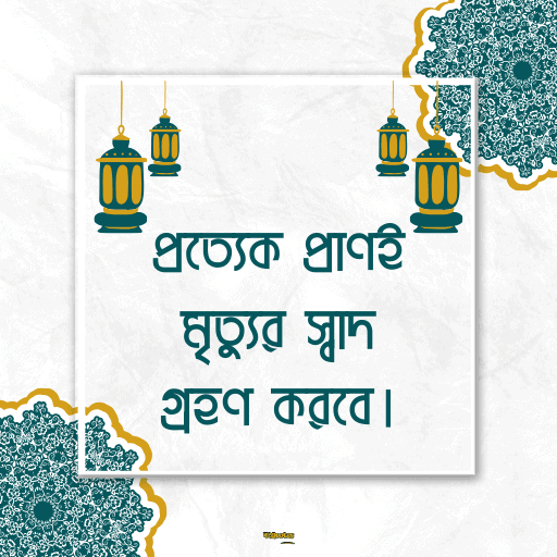 ইসলামিক bio বাংলা 13