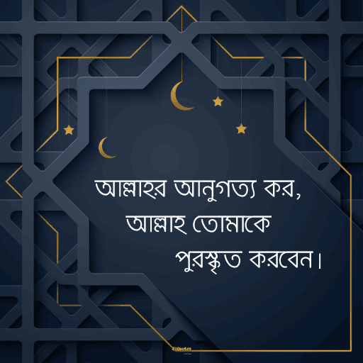 ইসলামিক bio বাংলা 17