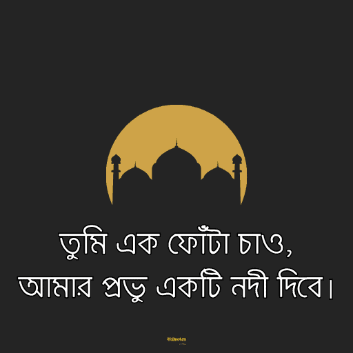 ইসলামিক bio বাংলা 19