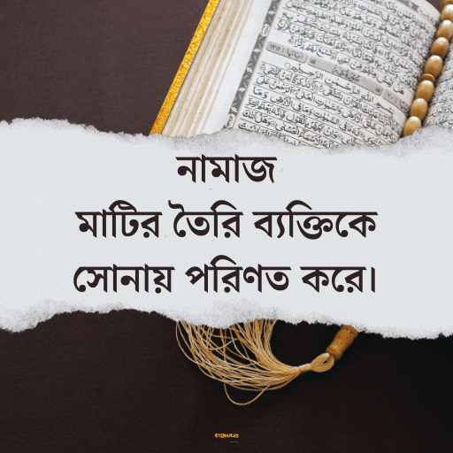 ইসলামিক bio বাংলা 20