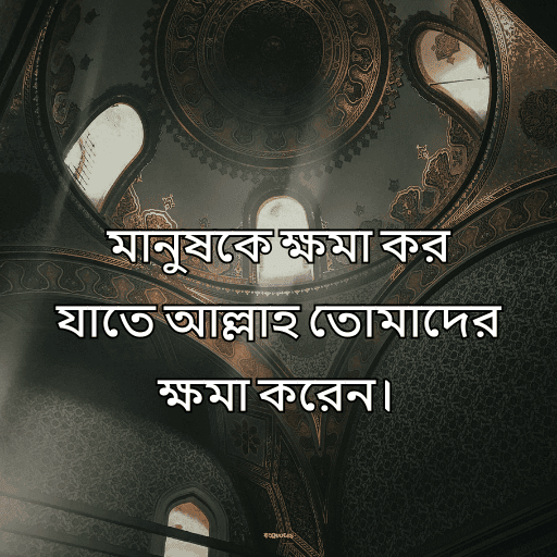 ইসলামিক bio বাংলা 22