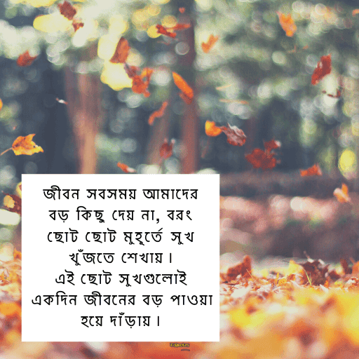 জীবন পরিবর্তন নিয়ে উক্তি 18