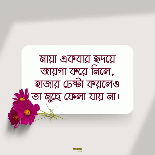 মায়া নিয়ে ক্যাপশন 10