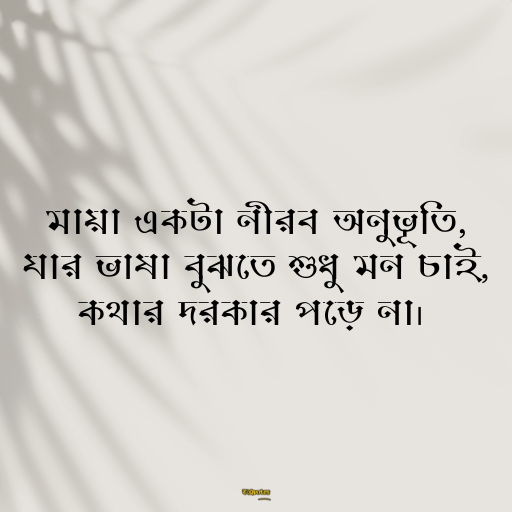 মায়া নিয়ে ক্যাপশন 11