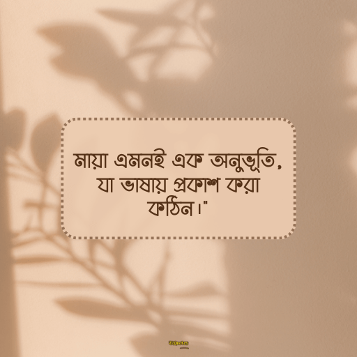 মায়া নিয়ে ক্যাপশন 12