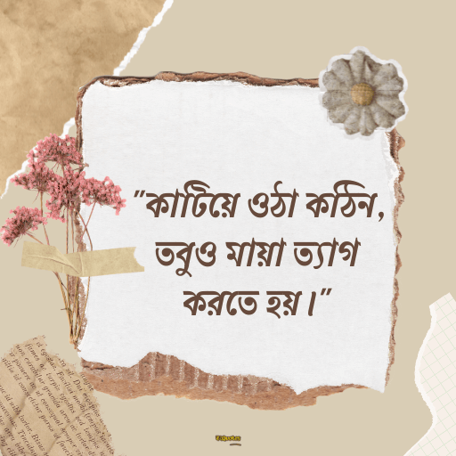 মায়া নিয়ে ক্যাপশন 14