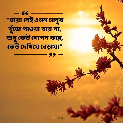মায়া নিয়ে ক্যাপশন 3