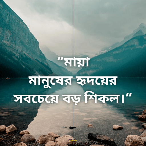 মায়া নিয়ে ক্যাপশন 4