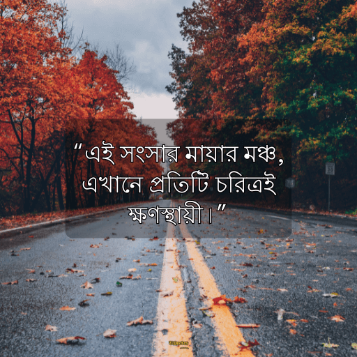 মায়া নিয়ে ক্যাপশন 5