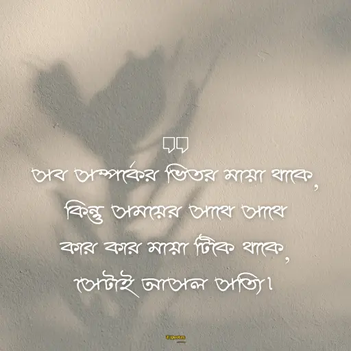 মায়া নিয়ে ক্যাপশন 9