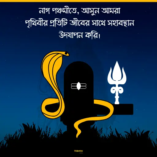 নাগ পঞ্চমী 16