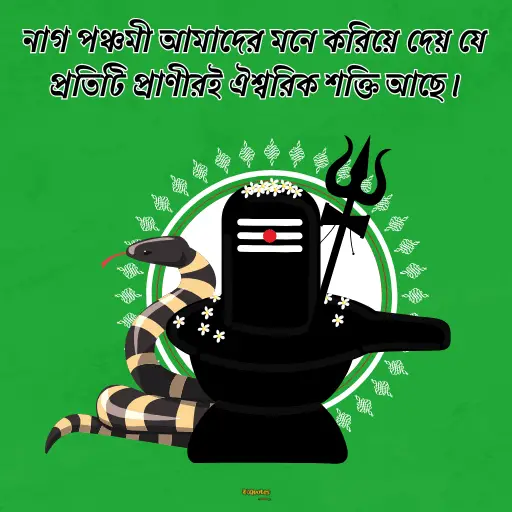 নাগ পঞ্চমী 18