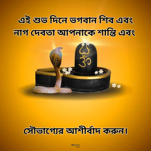নাগ পঞ্চমী 5