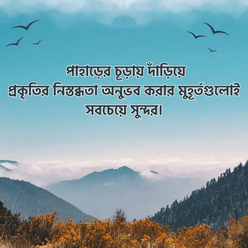 প্রকৃতি নিয়ে ক্যাপশন বাংলা 1