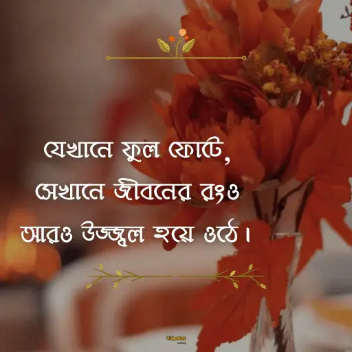 প্রকৃতি নিয়ে ক্যাপশন বাংলা 10