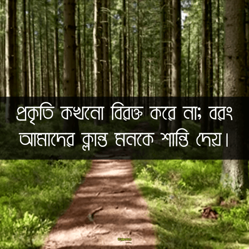 প্রকৃতি নিয়ে ক্যাপশন বাংলা 11