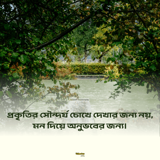 প্রকৃতি নিয়ে ক্যাপশন বাংলা 15