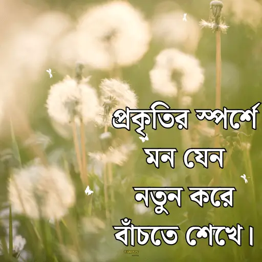 প্রকৃতি নিয়ে ক্যাপশন বাংলা 16