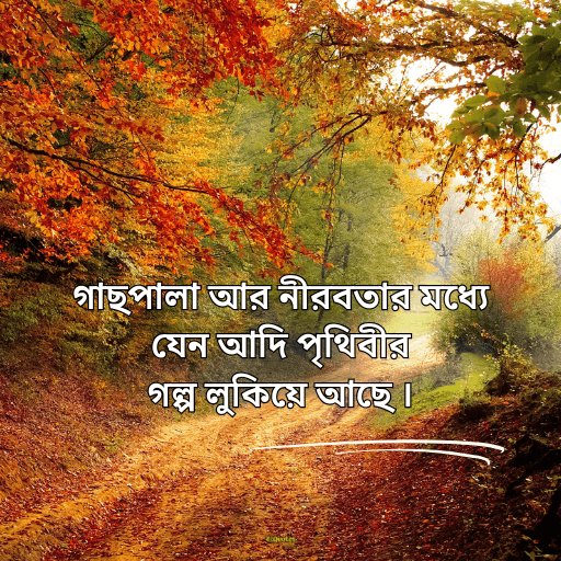 প্রকৃতি নিয়ে ক্যাপশন বাংলা 17