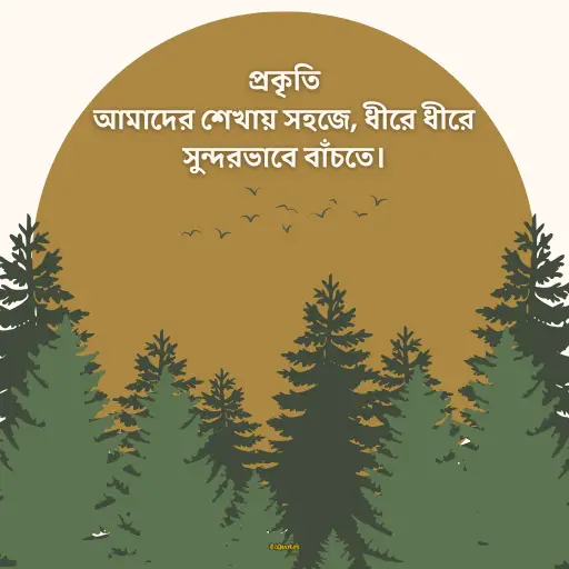 প্রকৃতি নিয়ে ক্যাপশন বাংলা 18