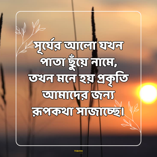 প্রকৃতি নিয়ে ক্যাপশন বাংলা 3
