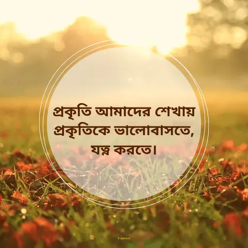 প্রকৃতি নিয়ে ক্যাপশন বাংলা 4