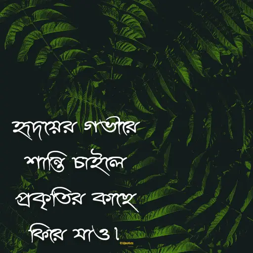 প্রকৃতি নিয়ে ক্যাপশন বাংলা 5
