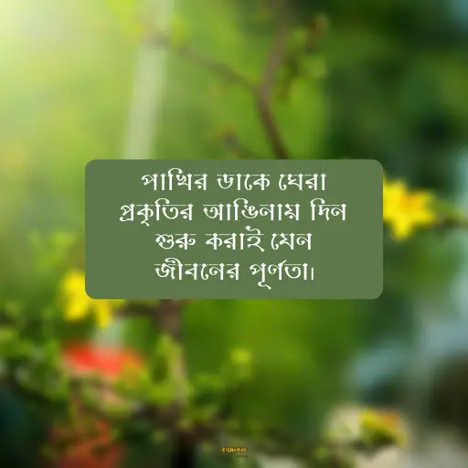 প্রকৃতি নিয়ে ক্যাপশন বাংলা 6