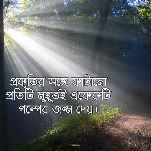 প্রকৃতি নিয়ে ক্যাপশন বাংলা 7