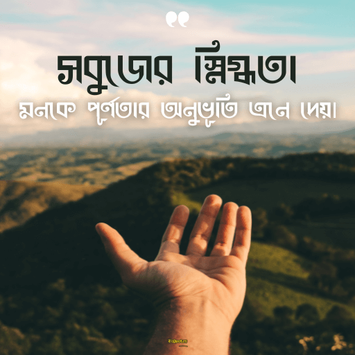 প্রকৃতি নিয়ে ক্যাপশন বাংলা 8