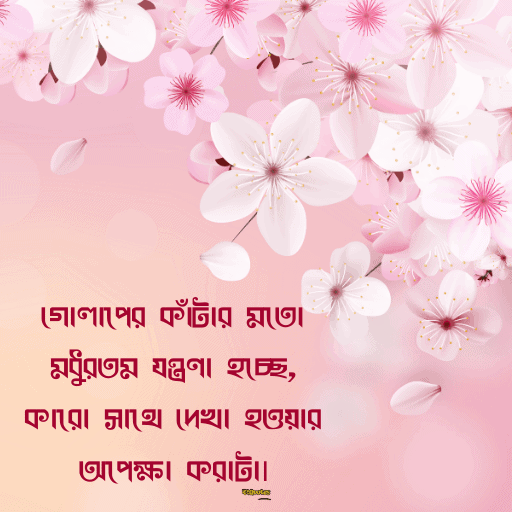 নতুন ক্যাপশন বাংলা 16