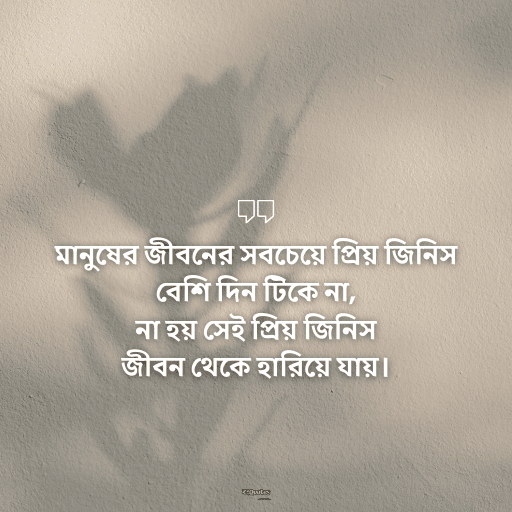 নতুন ক্যাপশন বাংলা 21