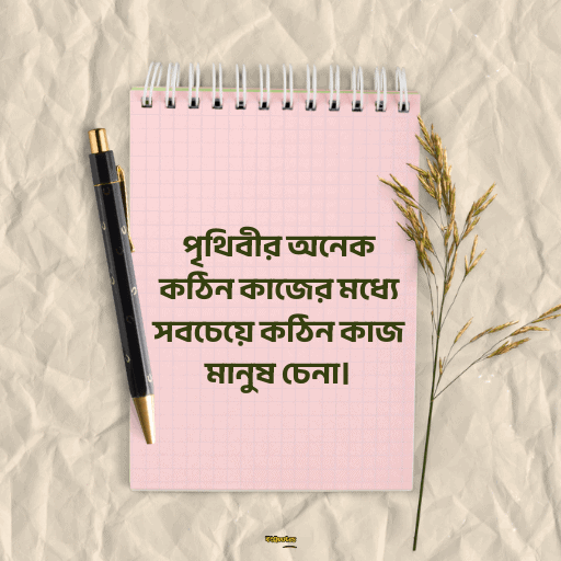 নতুন ক্যাপশন বাংলা 24