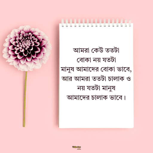নতুন ক্যাপশন বাংলা 25