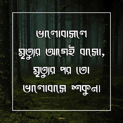 নতুন ক্যাপশন বাংলা 4