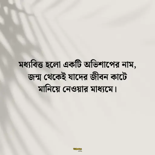 বাস্তব জীবন নিয়ে স্ট্যাটাস 5