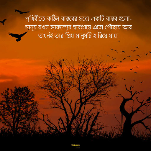 বাস্তব জীবন নিয়ে স্ট্যাটাস 7