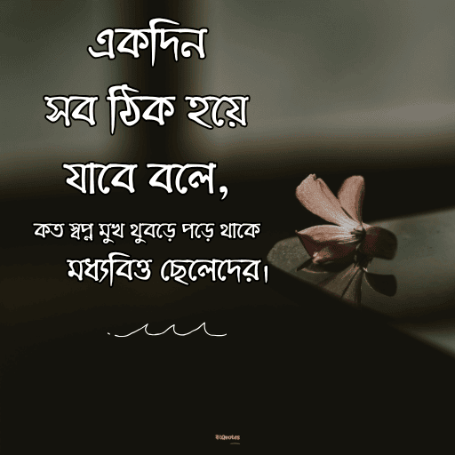 মধ্যবিত্ত ছেলেদের কষ্টের স্ট্যাটাস 11
