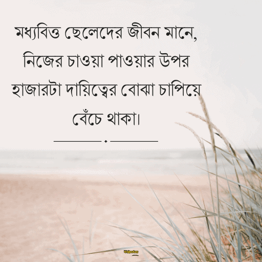 মধ্যবিত্ত ছেলেদের কষ্টের স্ট্যাটাস 12