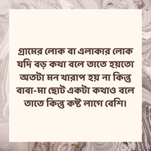 মধ্যবিত্ত ছেলেদের কষ্টের স্ট্যাটাস 3