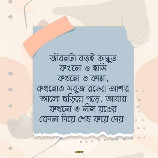 মধ্যবিত্ত ছেলেদের কষ্টের স্ট্যাটাস 5