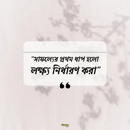জীবনে সফল হওয়ার উক্তি 11