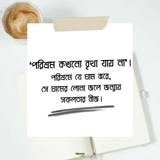 জীবনে সফল হওয়ার উক্তি 12