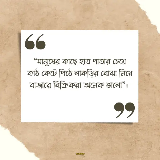 জীবনে সফল হওয়ার উক্তি 14