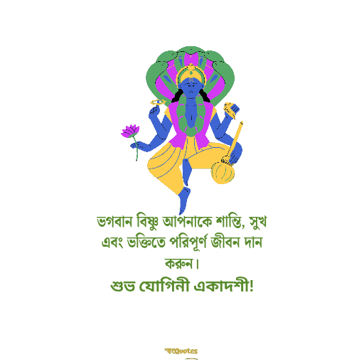 একাদশী নিয়ে উক্তি 10