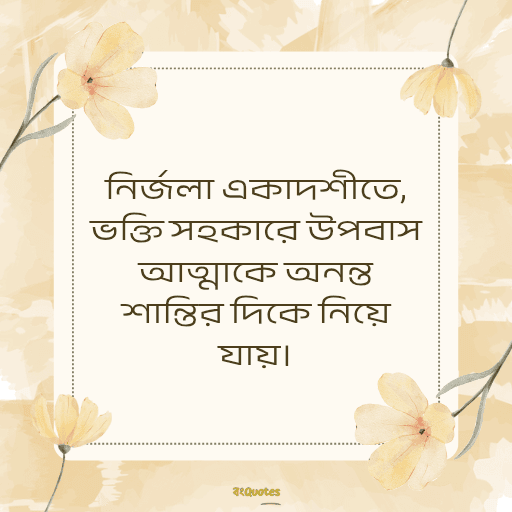 একাদশী নিয়ে উক্তি 1