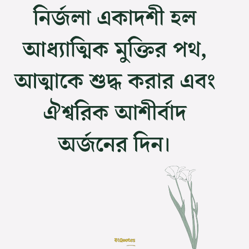 একাদশী নিয়ে উক্তি 6